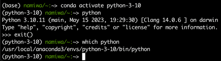 conda check python env